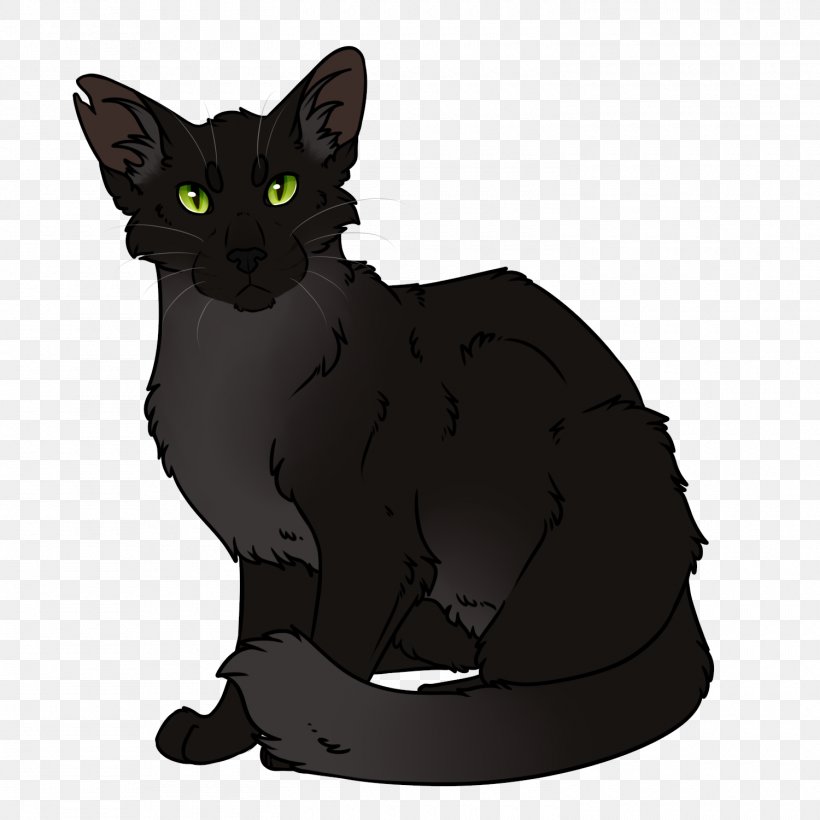 Kitten Korat Black Cat Warriors Whiskers, PNG, 1500x1500px, Kitten, Ashfoot, Asian, Barkface, Black Cat Download Free
