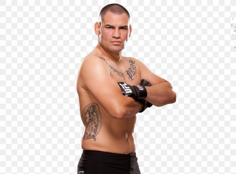 Cain Velasquez UFC 200: Tate Vs. Nunes UFC 207: Nunes Vs. Rousey Arm Wrist, PNG, 1200x886px, Watercolor, Cartoon, Flower, Frame, Heart Download Free