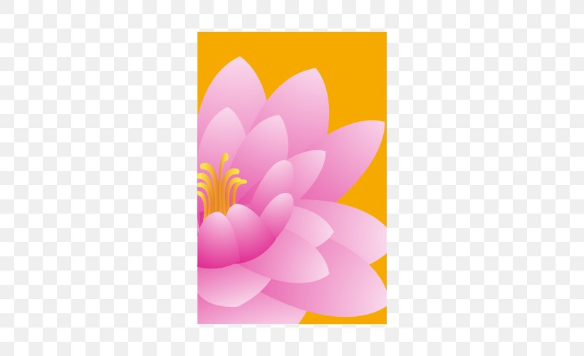 Dahlia Rectangle, PNG, 500x500px, Dahlia, Flower, Flowering Plant, Magenta, Petal Download Free