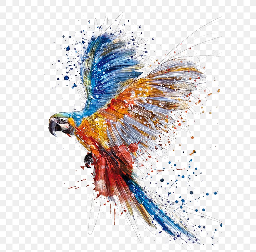 Parrot Watercolor Painting Bird Drawing, PNG, 603x807px, Parrot, Art, Art Museum, Beak, Bird Download Free