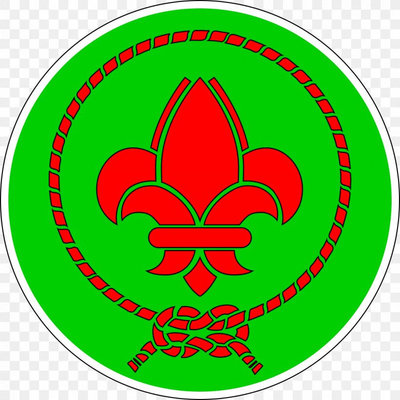 Scouting Scouts Et Guides De France World Organization Of The Scout Movement Scouts Vietnamiens De France Vietnamese Scout Association, PNG, 1200x1200px, Scouting, Area, Flower, Girl Guides, Green Download Free