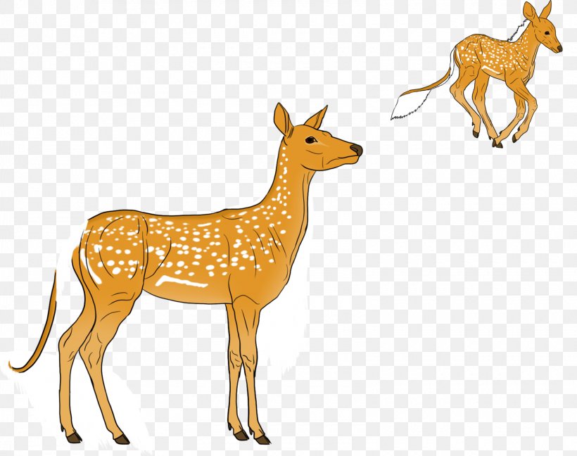 Reindeer Musk Deers Antelope Wildlife, PNG, 1600x1266px, Reindeer, Animal, Animal Figure, Antelope, Antler Download Free