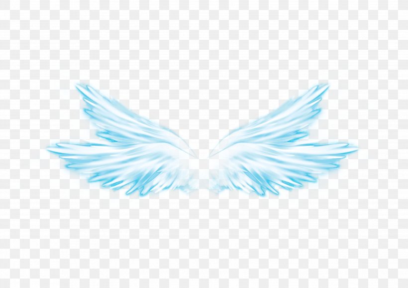 Wing Butterfly Overlay Feather, PNG, 3508x2480px, Wing, Brush, Butterfly, Fairy, Feather Download Free