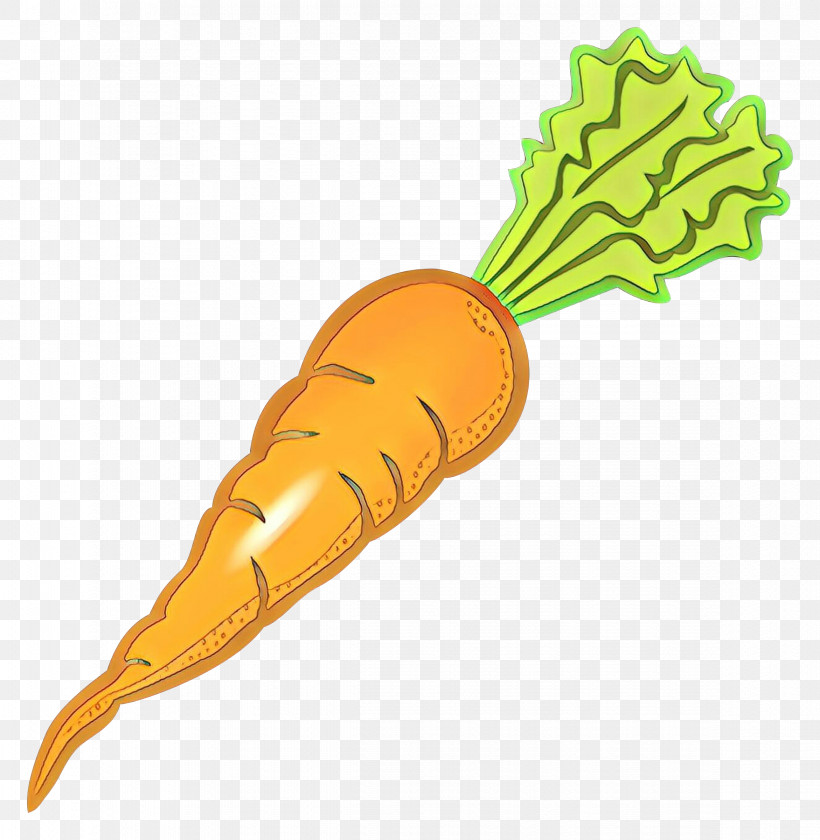 Carrot Vegetable Daikon Root Vegetable Plant, PNG, 2342x2400px, Carrot, Daikon, Plant, Radish, Root Vegetable Download Free