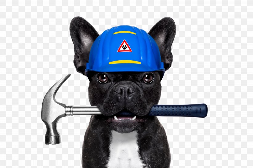 French Bulldog Dog Daze Industrial Plumbing Stock Photography, PNG, 6529x4353px, Bulldog, Bathroom, Carnivoran, Dog, Dog Breed Download Free