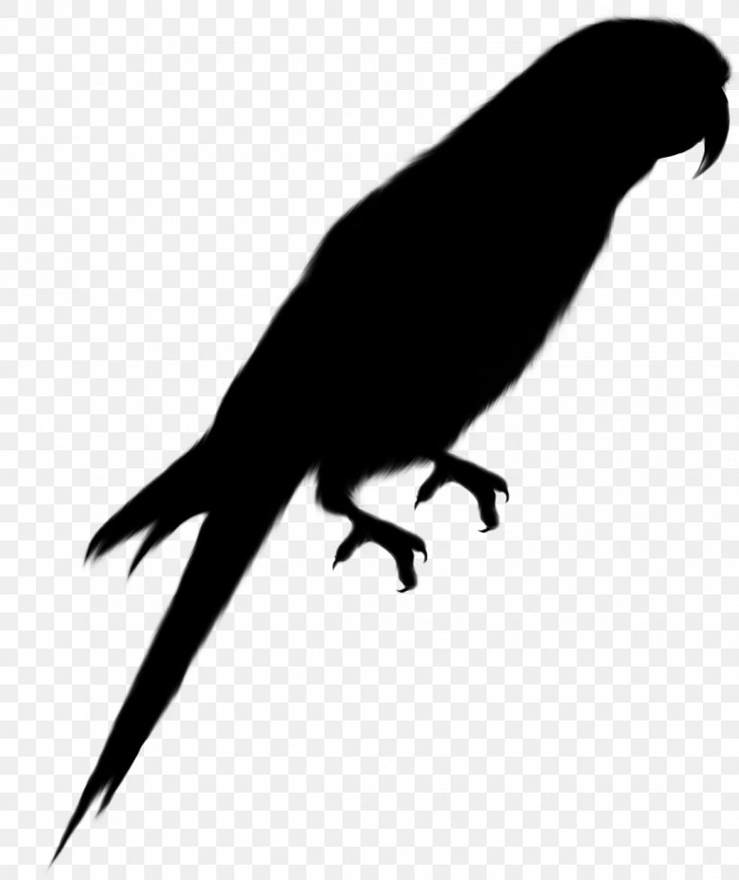 Parrot Silhouette Macaw Vector Graphics, PNG, 1121x1336px, Parrot, Beak, Bird, Cartoon, Claw Download Free