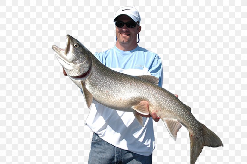 Salmon Barramundi Fishing Trout Carp, PNG, 846x563px, Salmon, Barramundi, Call Of Duty, Carp, Catfish Download Free
