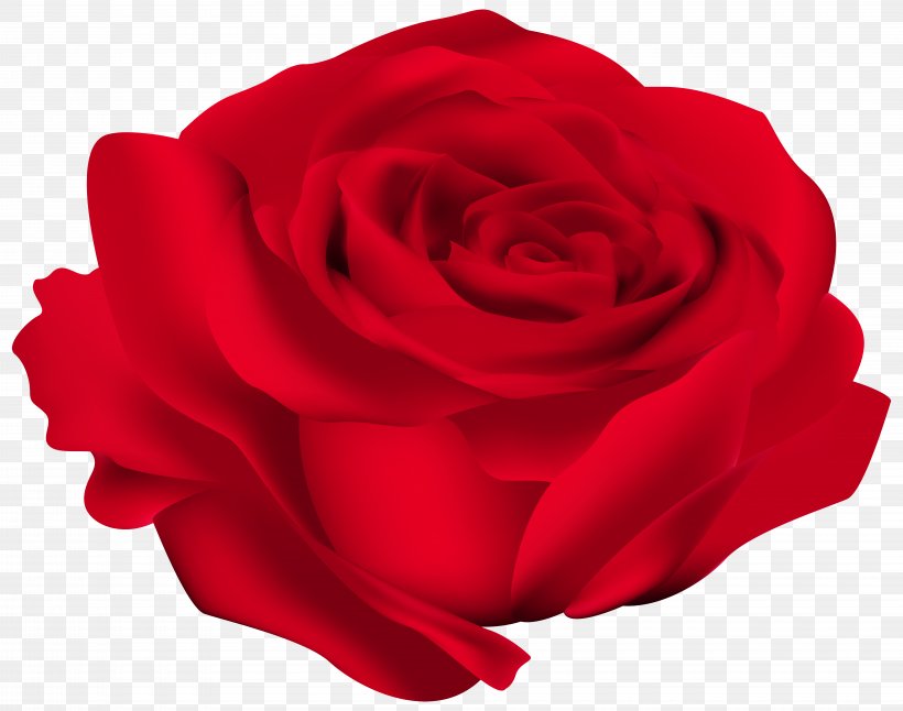 Rose Flower Clip Art, PNG, 8000x6305px, Rose, Art, Blue Rose, Color, Cut Flowers Download Free
