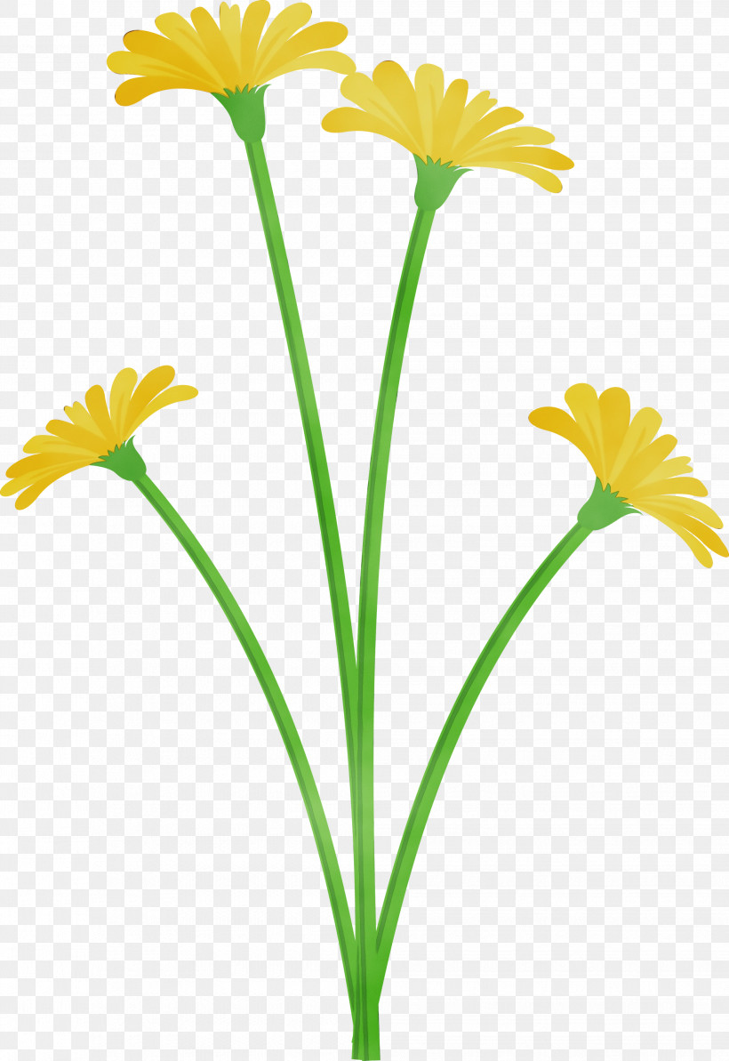 Youtube Plant Stem, PNG, 2062x3000px, Dandelion Flower, Daisy Family, Gco, Google, H Query Download Free