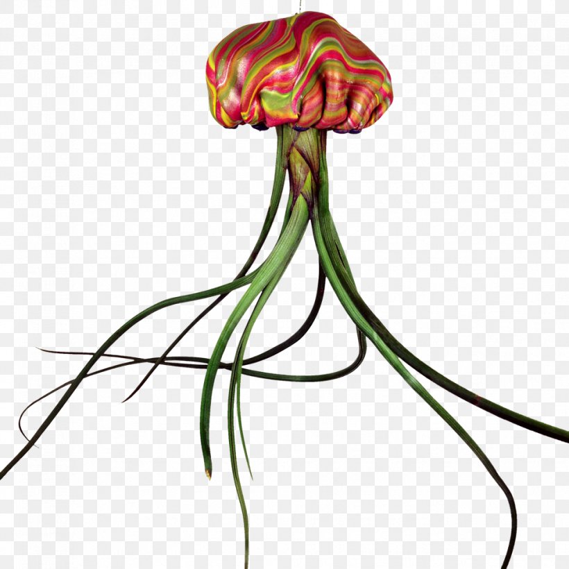 Floral Design Jellyfish Cut Flowers Leaf Plant Stem, PNG, 979x979px, Floral Design, Artwork, Cut Flowers, Flora, Flower Download Free