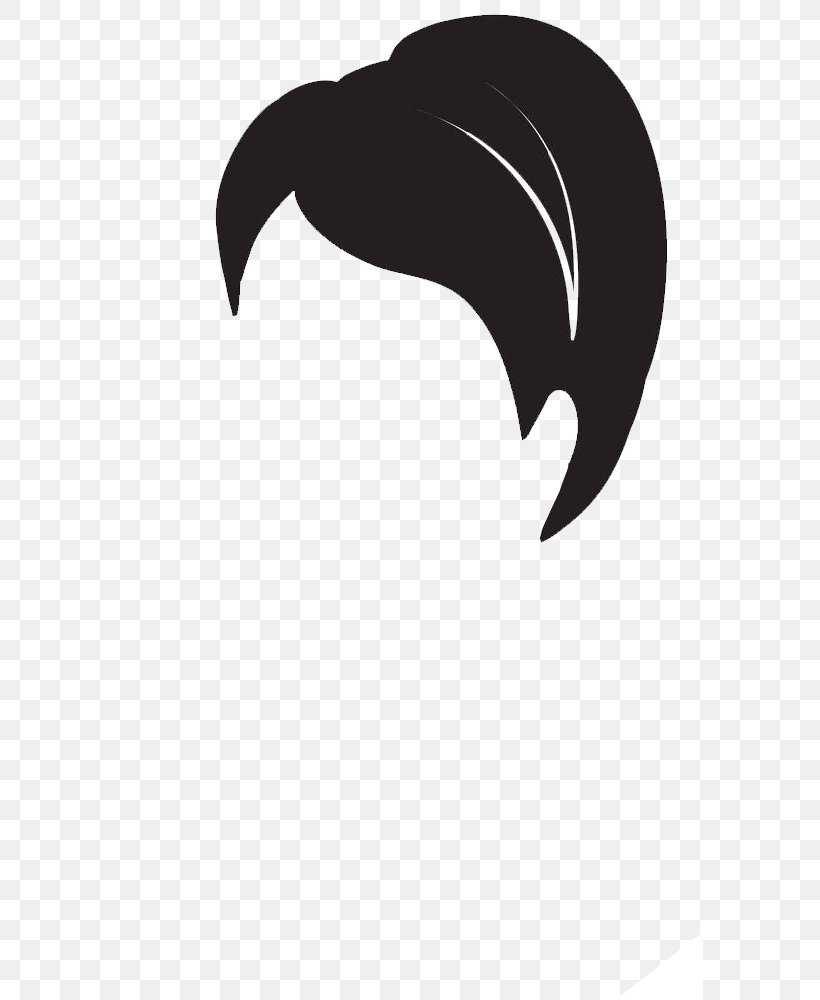 Hairstyle Illustration, PNG, 586x1000px, Hairstyle, Beak, Black, Black And White, Braid Download Free