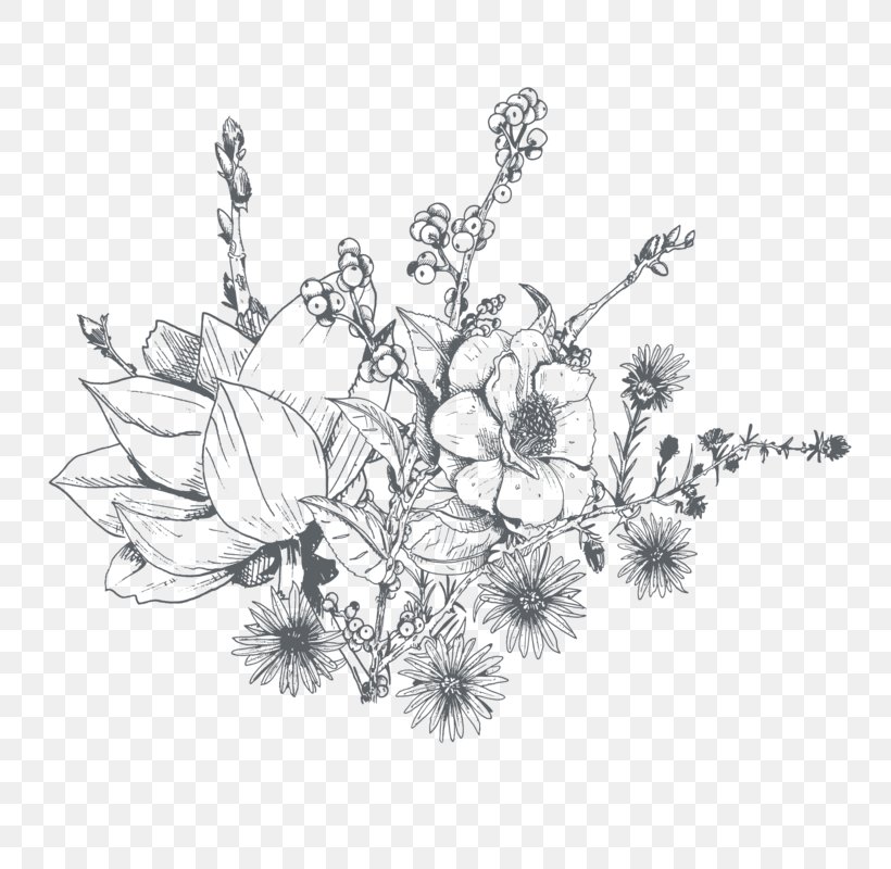 Logo Photography Floral Design Sketch, PNG, 800x800px, Logo, Art, Black And White, Body Jewelry, Botanical Illustration Download Free
