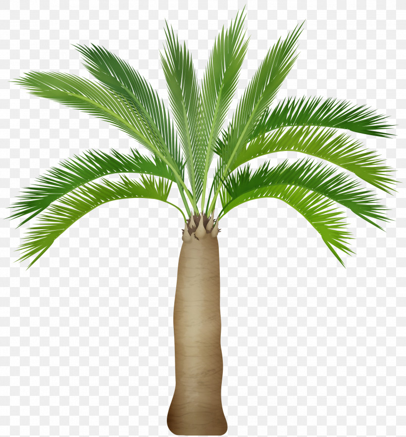 Palm Tree, PNG, 2783x3000px, Watercolor, Arecales, Desert Palm, Leaf, Paint Download Free