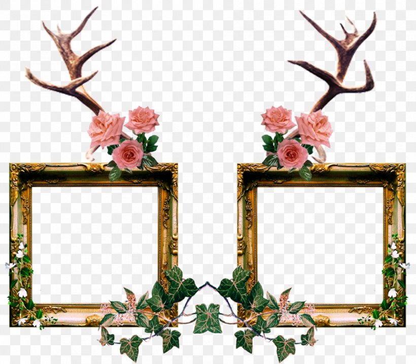 Picture Frames Clip Art Image Ornament Daum Crystal Roses Small Frame, PNG, 955x836px, Picture Frames, Antler, Branch, Daum Crystal Roses Small Frame, Decorative Arts Download Free