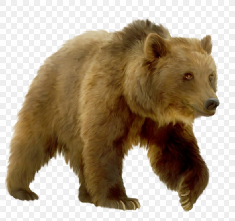 Polar Bear Clip Art, PNG, 980x923px, Bear, Alaska Peninsula Brown Bear, Basabizitza, Brown Bear, Carnivoran Download Free