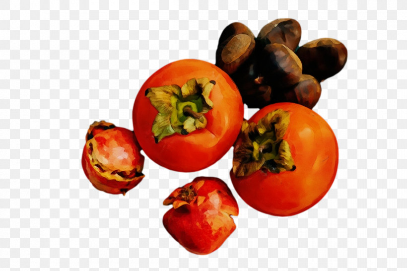 Tomato, PNG, 1200x800px, Watercolor, Fruit, Genus, Local Food, Natural Food Download Free