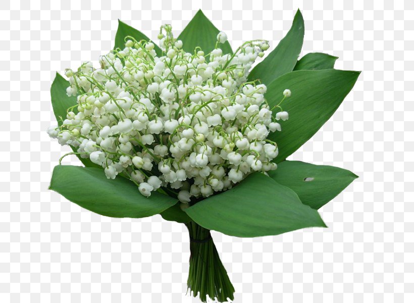 Flower Bouquet Convallarias Lily Of The Valley Image, PNG, 707x600px, Flower Bouquet, Blog, Centerblog, Convallarias, Cut Flowers Download Free