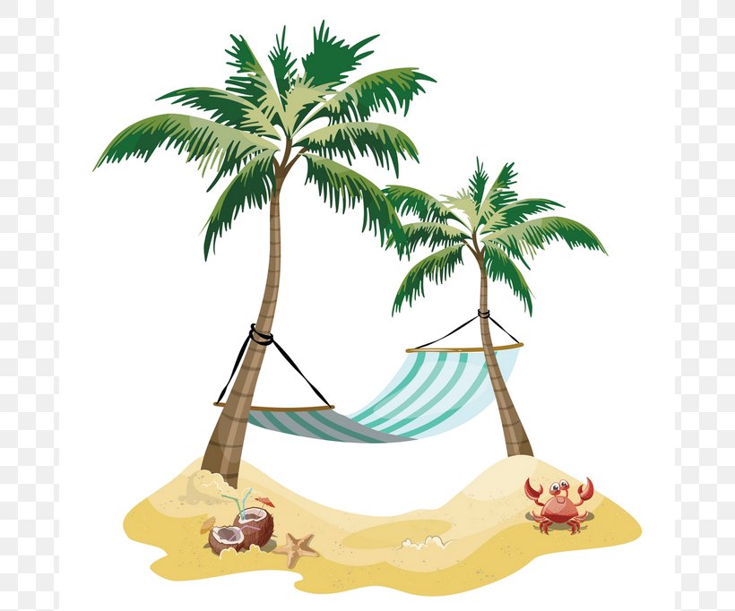 Palm Tree, PNG, 687x682px, Hammock, Arecales, Coconut, Leaf, Palm Tree Download Free