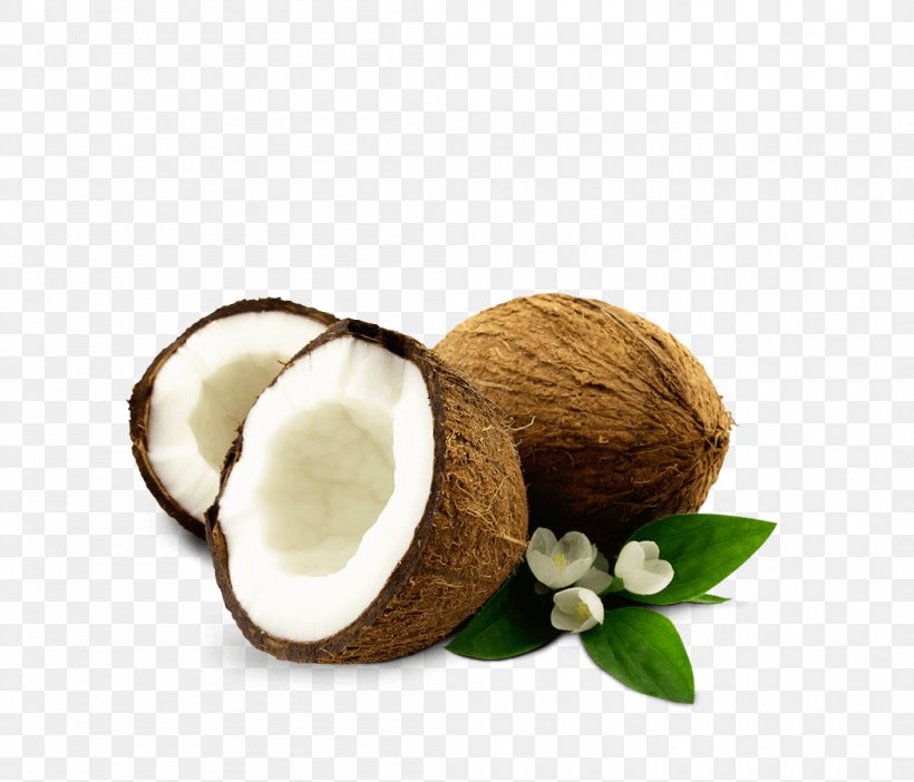 A To Z Exports And Imports(coconut Suppliers,wholesaler,seller,manufacturers In Pollachi) Coconut Oil Coconut Water Coconut EXPORTERS, PNG, 1050x900px, Coconut, Balsamic Vinegar, Coconut Exporters, Coconut Oil, Coconut Water Download Free