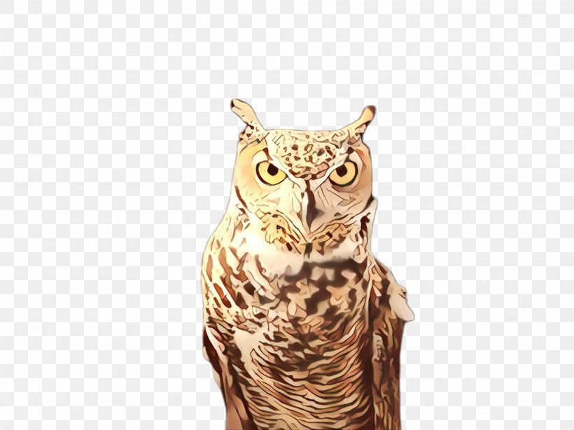 Owl Bird Bird Of Prey Great Horned Owl Beak, PNG, 2000x1499px, Cartoon, Beak, Bird, Bird Of Prey, Great Horned Owl Download Free