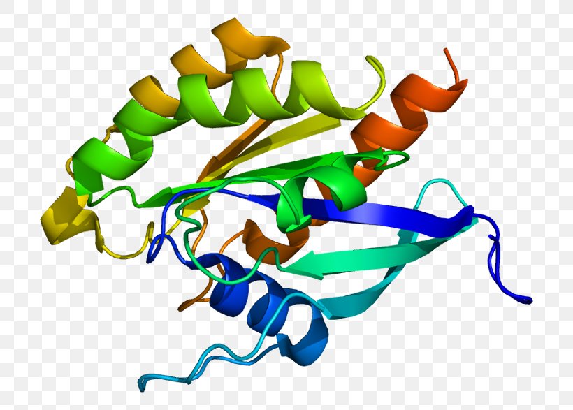 RAB3D Protein Ras Subfamily Gene, PNG, 756x587px, Rab, Area, Artwork, Ensembl, G Protein Download Free