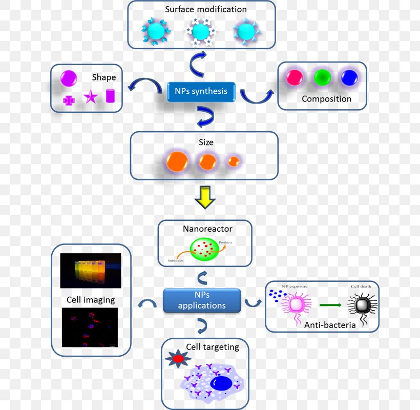 Applications Of Nanotechnology Nanoparticle Biology Biomedical Engineering, PNG, 663x800px, Applications Of Nanotechnology, Area, Biology, Biomedical Engineering, Brand Download Free