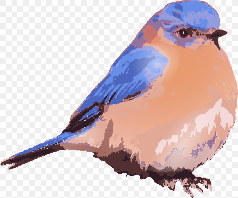 Eastern Bluebird Bluebird Of Happiness Clip Art, PNG, 2400x2000px, Bird, American Sparrows, Beak, Bird Nest, Bluebird Download Free