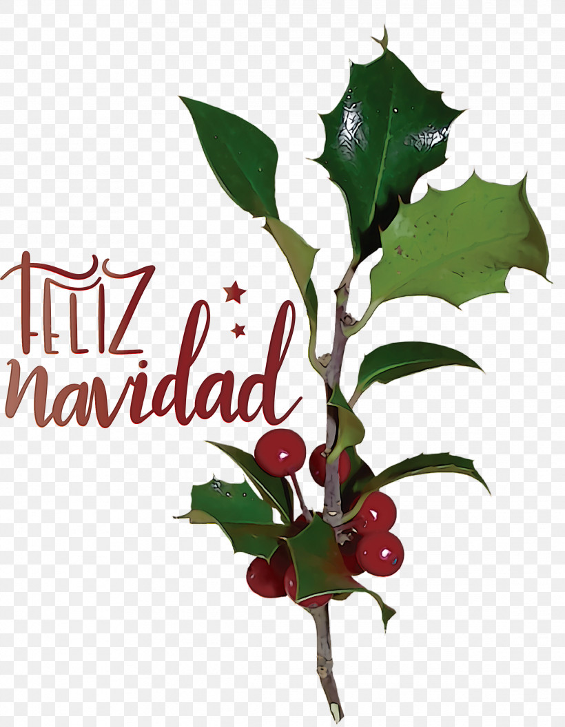 Feliz Navidad Merry Christmas, PNG, 2329x3000px, Feliz Navidad, Aquifoliaceae, Aquifoliales, Biology, Branching Download Free