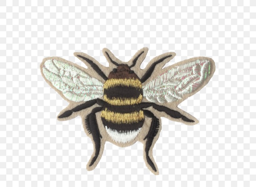 Honey Background, PNG, 600x600px, Honey Bee, Bee, Brooch, Bumblebee, Carpenter Bee Download Free