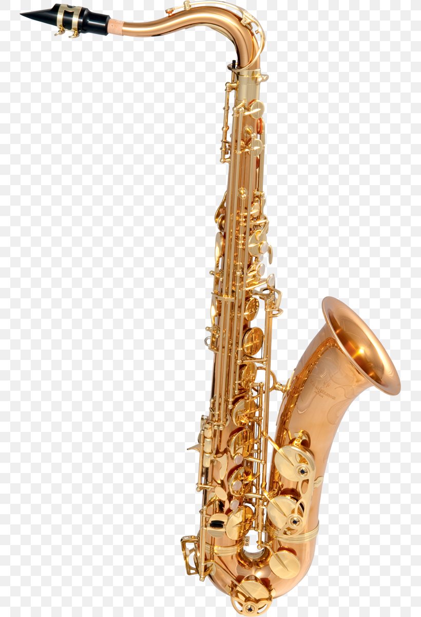 Tenor Saxophone Alto Saxophone Henri Selmer Paris Reference 54, PNG, 743x1200px, Tenor Saxophone, Alto Saxophone, Baritone Saxophone, Bass Oboe, Brass Download Free