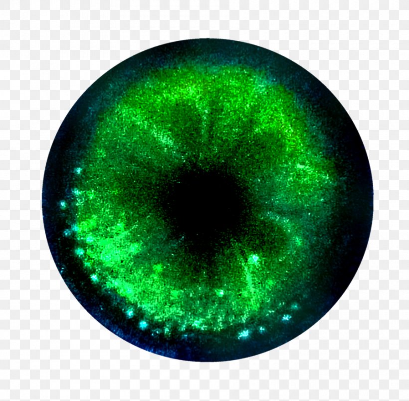 Eye Close-up, PNG, 900x882px, Eye, Closeup, Glitter, Green Download Free