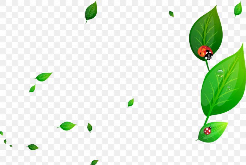 Ladybird Glass Green, PNG, 1020x685px, Ladybird, Glass, Grass, Gratis, Green Download Free
