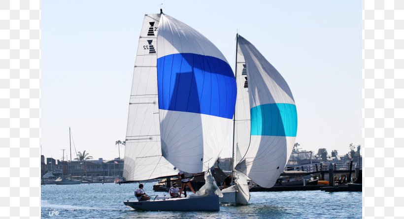 Sail Yacht Racing Yacht Club Sloop, PNG, 800x445px, Sail, Boat, Cat Ketch, Dhow, Dinghy Sailing Download Free