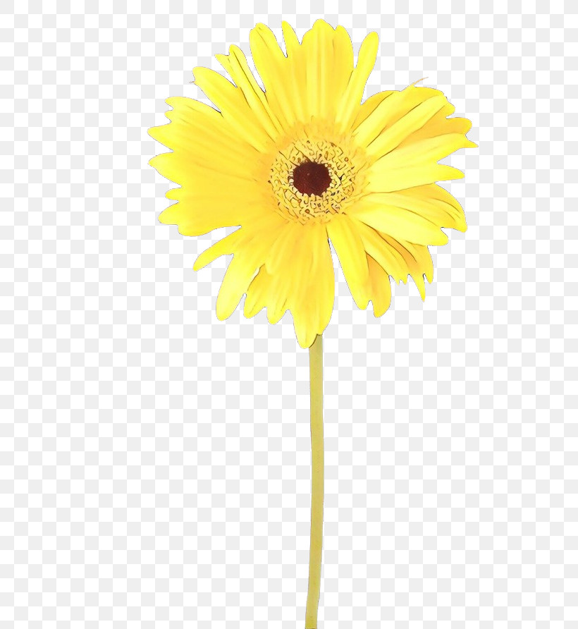 Sunflower, PNG, 695x892px, Flower, Barberton Daisy, Cut Flowers, Gerbera, Petal Download Free