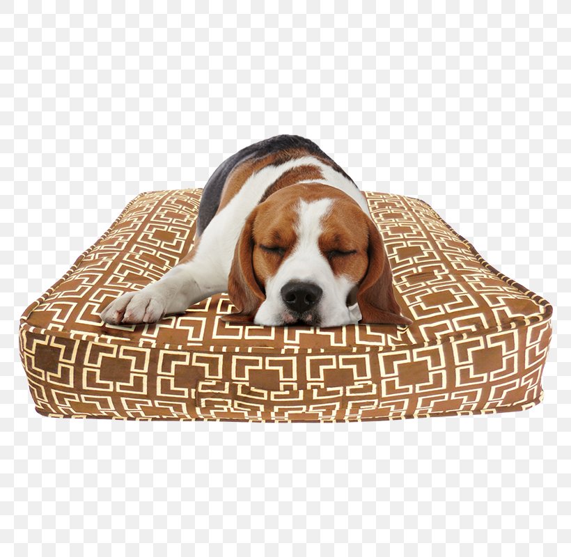 Dog Breed Beagle Puppy Bed Pillow, PNG, 800x800px, Dog Breed, Beagle, Bed, Bolster, Bread Pan Download Free