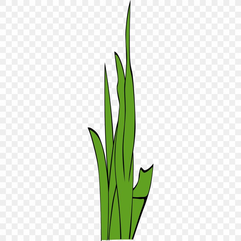 Grasses Clip Art, PNG, 2400x2400px, Grasses, Commodity, Family, Flora, Flower Download Free