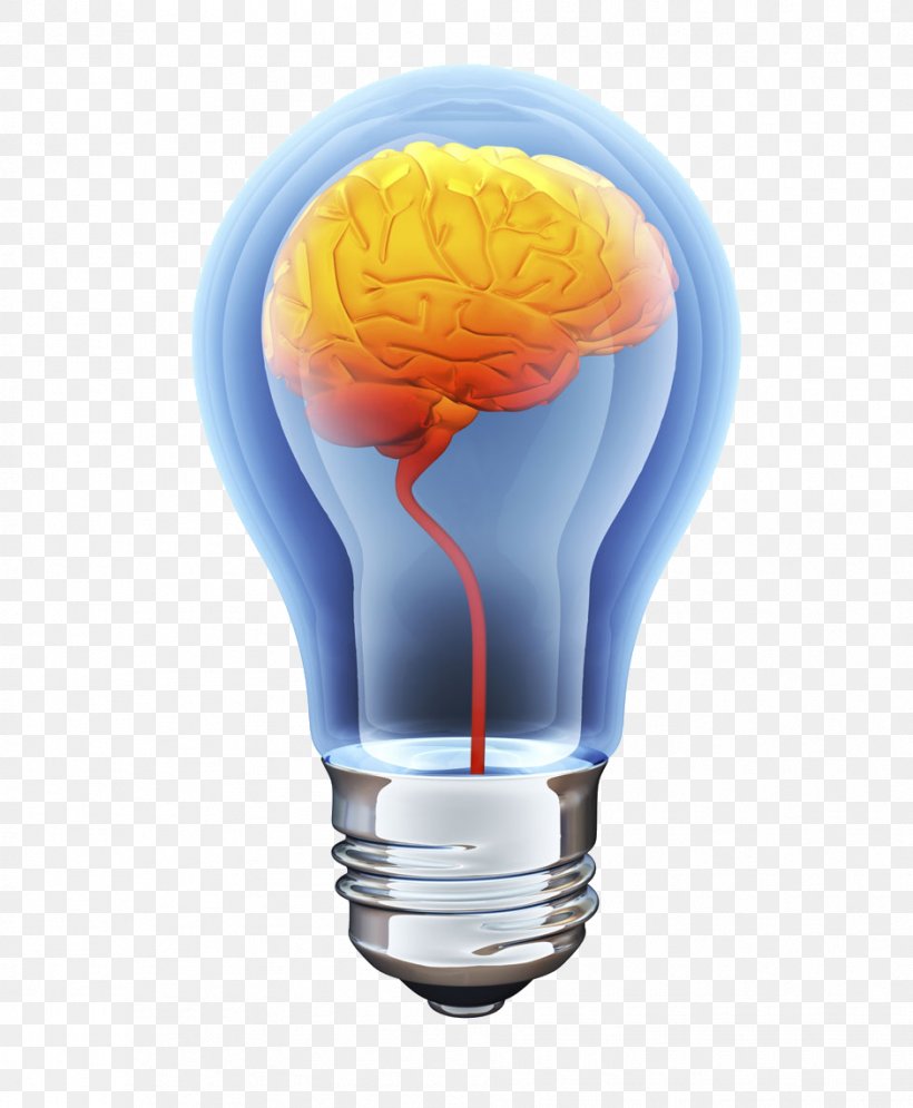 Human Brain Incandescent Light Bulb Stock Photography, PNG, 941x1142px, Watercolor, Cartoon, Flower, Frame, Heart Download Free