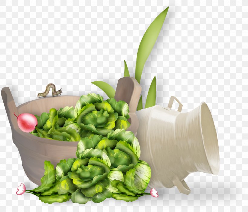Leaf Vegetable Cauliflower Food Clip Art, PNG, 2428x2072px, Leaf Vegetable, Brassica Oleracea, Cauliflower, Cuisine, Depositfiles Download Free