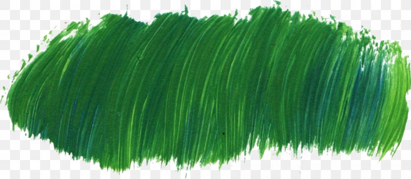 Paintbrush, PNG, 896x392px, Brush, Acrylic Paint, Grass, Grass Family, Green Download Free