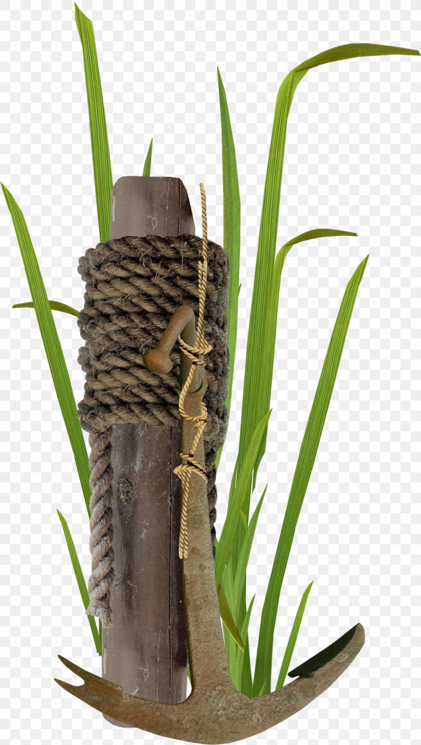 Rope Electrical Cable, PNG, 1130x2000px, Rope, Bamboo, Candle Wick, Commodity, Corchorus Capsularis Download Free