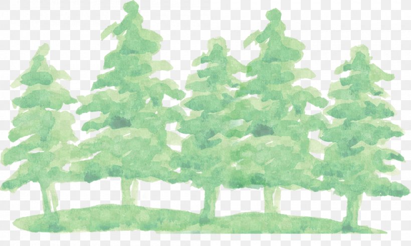 Woodfield Academy Watercolor Painting Vector Graphics Image, PNG, 1000x600px, Watercolor Painting, Art, Branch, Christmas Tree, Conifer Download Free