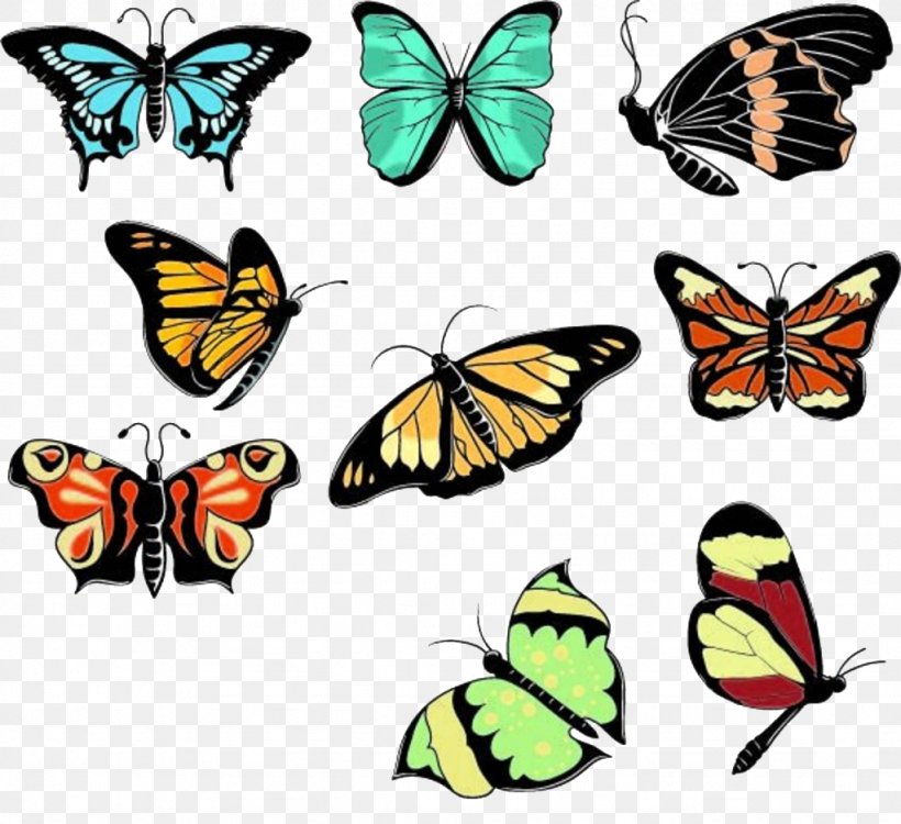 Butterfly Euclidean Vector Illustration, PNG, 1024x937px, Butterfly, Artwork, Brush Footed Butterfly, Butterflies And Moths, Bxe9zier Curve Download Free