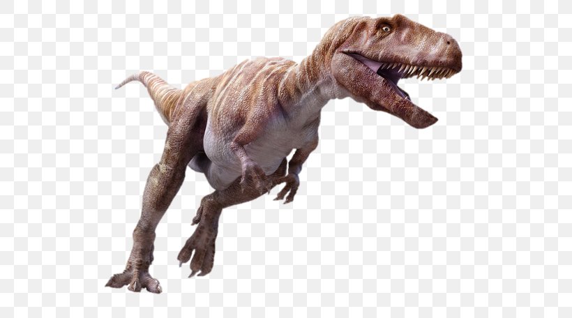 Megalosaurus Spinosaurus Ceratosaurus Iguanodon Tyrannosaurus, PNG, 602x456px, Megalosaurus, Carnivore, Carnosauria, Ceratosaurus, Chordata Download Free