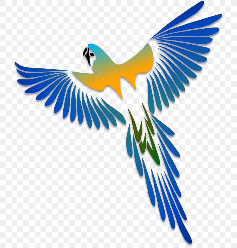 Parrot Bird Stencil Drawing, PNG, 736x856px, Parrot, Airbrush, Art, Beak, Bird Download Free