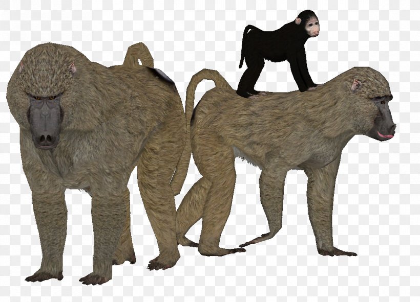 Baboons Cat Old World Cercopithecidae Fur, PNG, 1166x841px, Baboons, Animal, Animal Figure, Baboon, Carnivoran Download Free