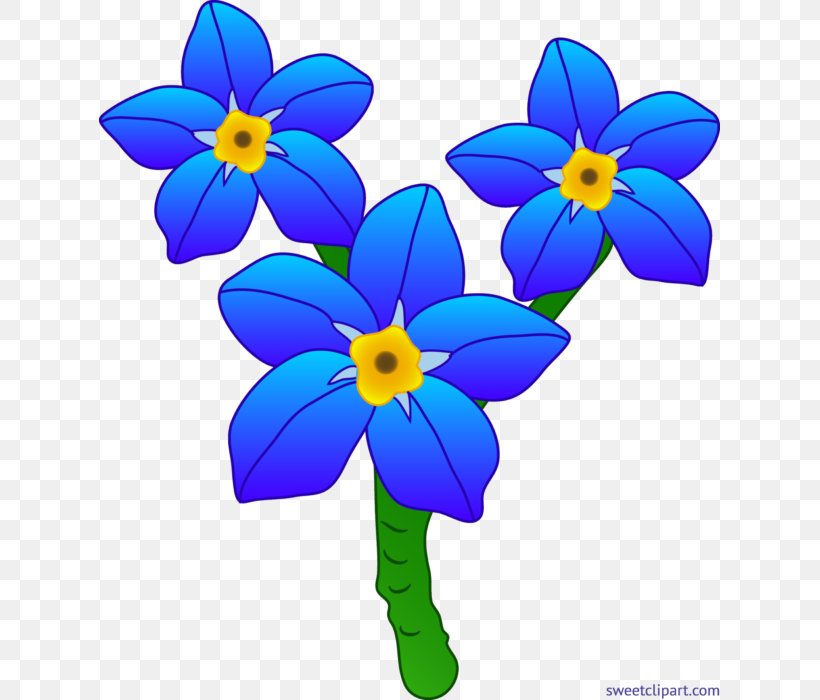 Drawing Flower Clip Art Png 621x700px Drawing Alpine Forgetmenot Art Blue Cartoon Download Free