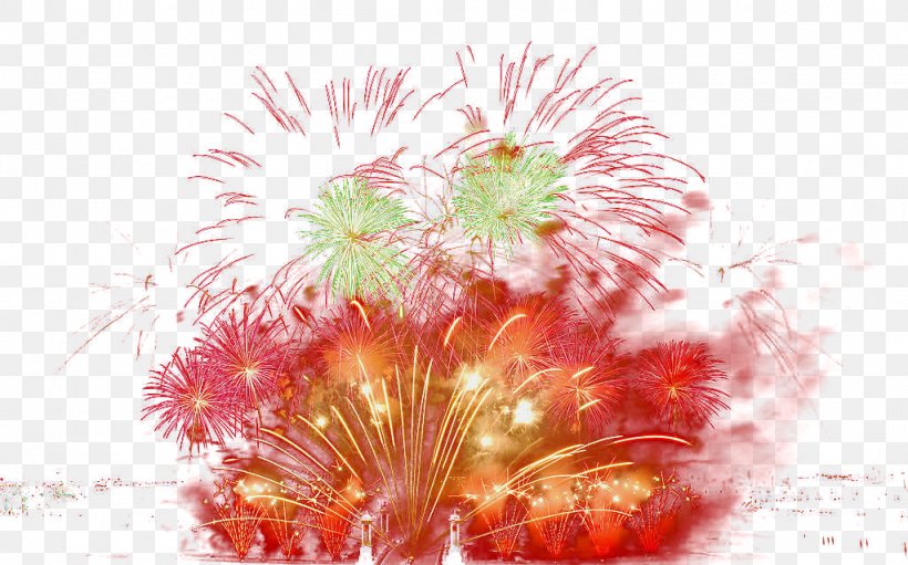 Fireworks Festival Download, PNG, 1024x639px, Fireworks, Chrysanths, Cut Flowers, Explosion, Festival Download Free