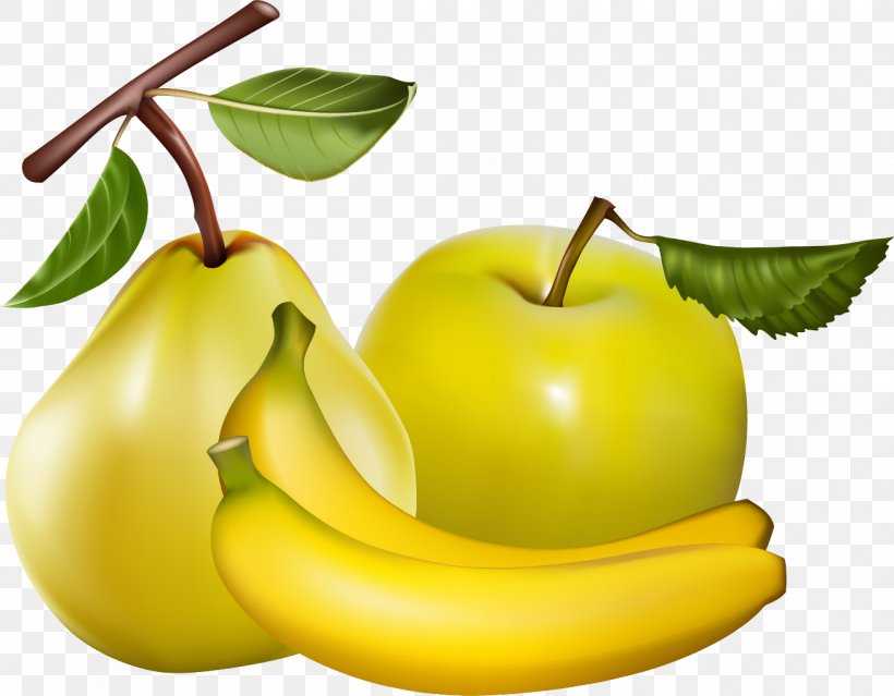 Fruit Clip Art, PNG, 1305x1018px, Fruit, Apple, Diet Food, Document, Food Download Free
