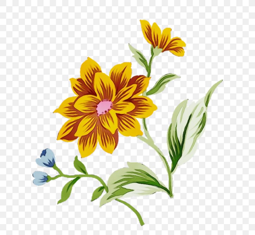 Watercolor Floral Background, PNG, 699x755px, Watercolor, Calendula, Cut Flowers, Daisy Family, Drawing Download Free