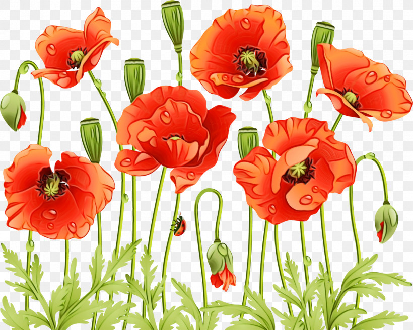 Floral Design, PNG, 1200x961px, Watercolor, Annual Plant, Cut Flowers, Floral Design, Flower Download Free